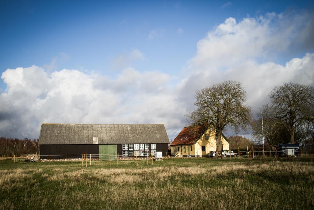 Froeken Hjorts Bed And Breakfast Hoganas Exterior photo